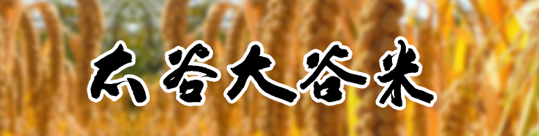 週行镜宝 捕神网